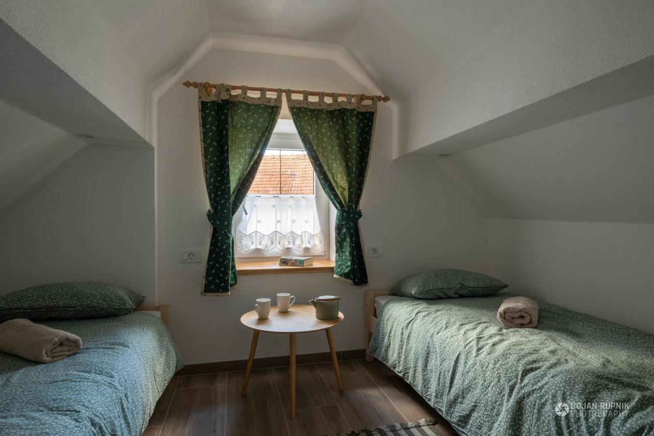 Cherry House - Cosy House - Ideal For Bear Watching, In The Neighborhood Of The Medieval Sneznik Castle Stari Trg pri Lozu Exterior foto