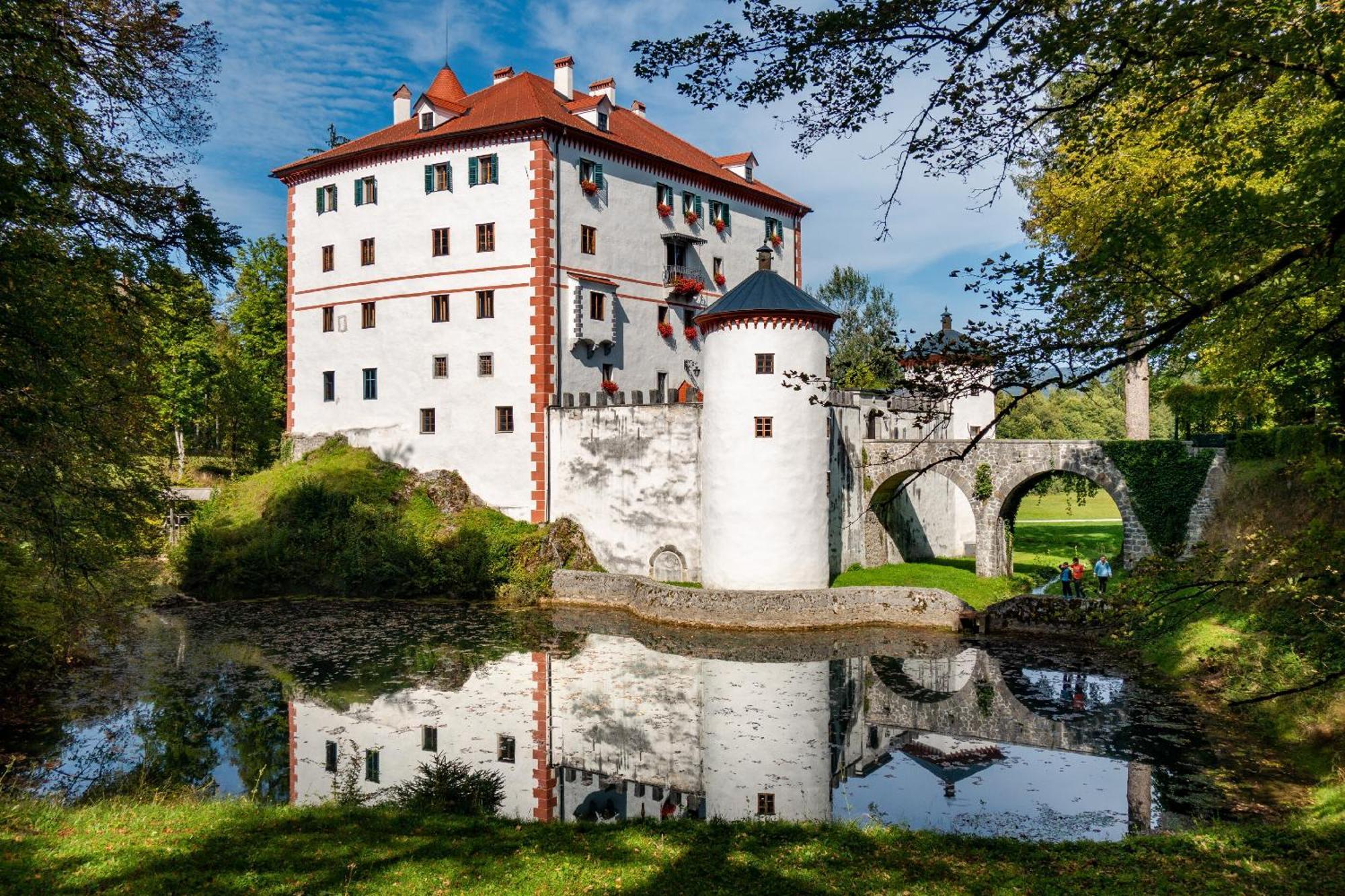 Cherry House - Cosy House - Ideal For Bear Watching, In The Neighborhood Of The Medieval Sneznik Castle Stari Trg pri Lozu Exterior foto